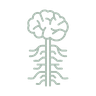 Mental Health